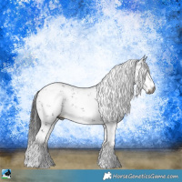 Horse Color:Gray Brown Sabino Rabicano