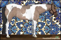Horse Color:Bay Roan Dun Tobiano Rabicano