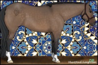 Horse Color:Brown Dun