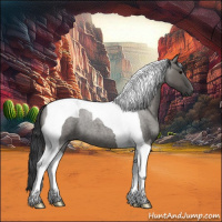 Horse Color:Grullo Roan Tobiano 