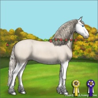 Horse Color:Smoky Creme Roan Splash 