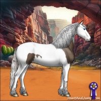 Horse Color:Silver Black Splash Tobiano 