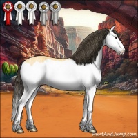 Horse Color:Buckskin Ice Splash 