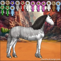 Horse Color:Smoky Blue Ice Roan Splash