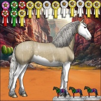 Horse Color:Silver Smoky Black Ice Splash