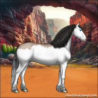 Horse Color:Brown Roan Dun Splash 