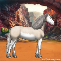 Horse Color:Silver Bay Roan Dun Splash 