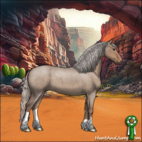 Horse Color:Silver Grullo Roan 