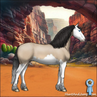 Horse Color:Bay Roan Dun Splash 