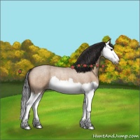 Horse Color:Bay Roan Dun Splash 