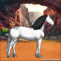 Horse Color:Grullo Roan Splash 