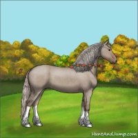 Horse Color:Silver Grullo Roan 