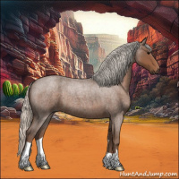 Horse Color:Silver Blue Roan 