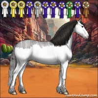 Horse Color:Smoky Blue Ice Roan Splash 