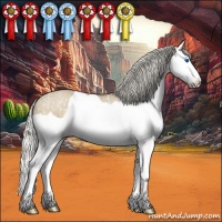 Horse Color:Silver Smoky Grullo Ice Splash