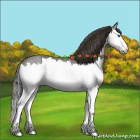 Horse Color:Smoky Blue Ice Roan Splash 