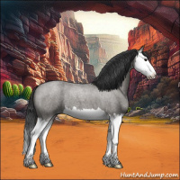 Horse Color:Grullo Roan Splash 