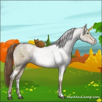 Horse Color:White Spotted Brown Ice Pearl Dun Mushroom 