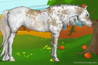 Horse Color:Gray Chocolate Palomino Pearl Sabino Splash 