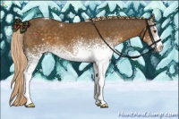 Horse Color:White Spotted Chocolate Palomino Tobiano