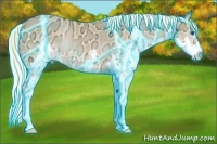 Horse Color:Thunderstruck Palomino Ice Dun Splash Rabicano
