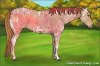 Horse Color:Chestnut Ice 