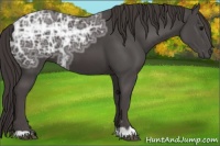 Horse Color:Smoky Black Ice 
