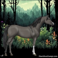 Horse Color:Grullo 
