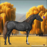 Horse Color:Liver Chestnut Rabicano 