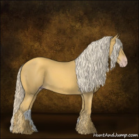 Horse Color:Gray Gold Cream Champagne 