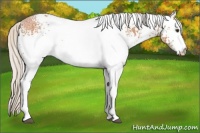 Horse Color:White Spotted Silver Bay Ice