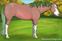 Horse Color:Watercolor Bay Sabino Splash