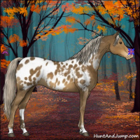 Horse Color:Chocolate Palomino Sabino Blanket 