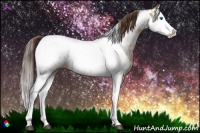 Horse Color:Bay Dun Splash Tobiano Appaloosa 