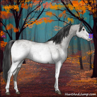 Horse Color:White Spotted Grullo