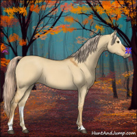 Horse Color:Palomino Dun Sabino