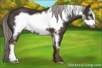 Horse Color:Liver Chestnut Frame 