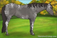 Horse Color:Smoky Black Ice 
