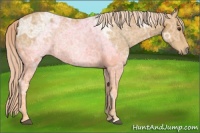 Horse Color:Palomino Ice 