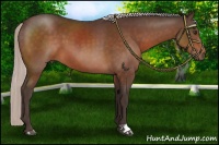 Horse Color:Silver Brown 