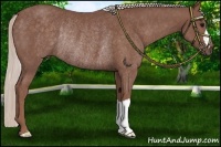 Horse Color:Chocolate Silver Black Rabicano 