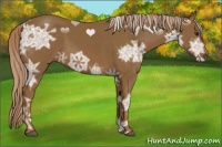 Horse Color:Chocolate Palomino Ice