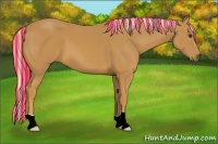 Horse Color:Painted Palomino 