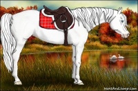 Horse Color:Silver Perlino Roan Dun 