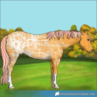 Horse Color:Painted Palomino Ice 