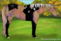 Horse Color:Nacre Chestnut Tobiano