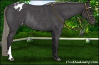 Horse Color:Smoky Blue Chinchilla Roan Varnish Rabicano 