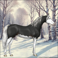 Horse Color:Liver Chestnut Mushroom Splash 