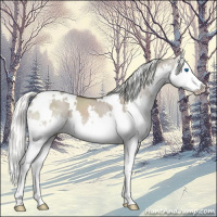 Horse Color:White Spotted Liver Red Dun Mushroom Sabino Splash 