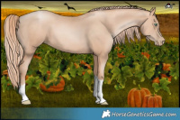 Horse Color:Gold Champagne Pearl Tobiano 